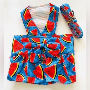 Doggie Design Dog Dress Watermelon Slices w/ Leash Terrier Chihuahua, etc Small